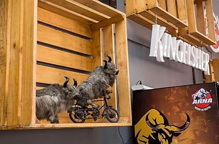 Yakety Yak Hostel